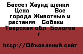 Бассет Хаунд щенки › Цена ­ 20 000 - Все города Животные и растения » Собаки   . Тверская обл.,Бологое г.